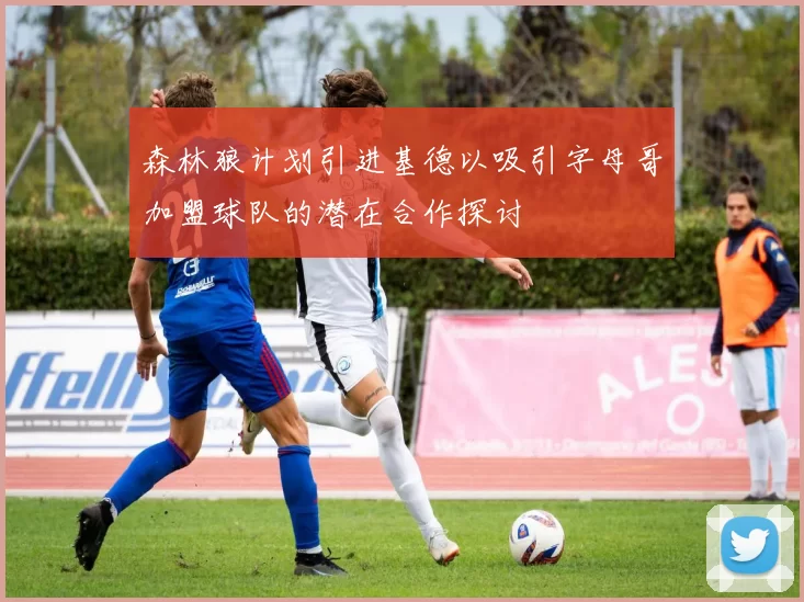 森林狼计划引进基德以吸引字母哥加盟球队的潜在合作探讨